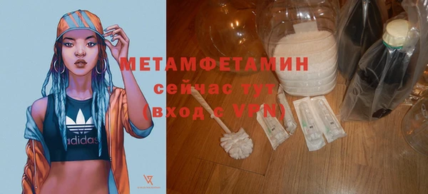 гидра Арсеньев