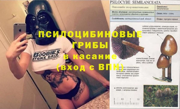 таблы Армянск