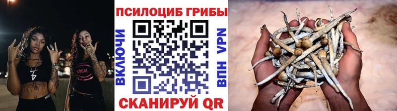 Галлюциногенные грибы мухоморы  сколько стоит  Собинка 